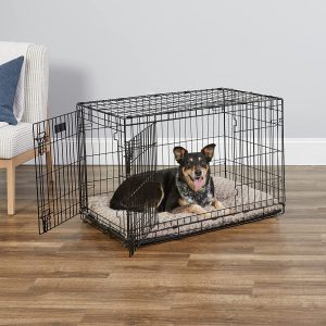 MidWest Homes for Pets Newly Enhanced Single & Double Door iCrate Dog Crate, Includes Leak-Proof Pan, Floor Protecting Feet, Divider Panel & New Patented Features