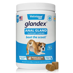 Glandex Anal Gland Soft Chew Treats with Pumpkin for Dogs Digestive Enzymes, Probiotics Fiber Supplement for Dogs Boot The Scoot (Peanut Butter Chews, 120ct)