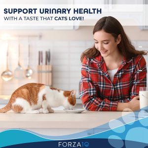 orza10 Actiwet Urinary Cat Food, Canned Salmon Fish Flavor Urinary Tract Cat Food Wet, Vet Approved for Urinary Health, for Adult Cats, 3.5 Ounce…