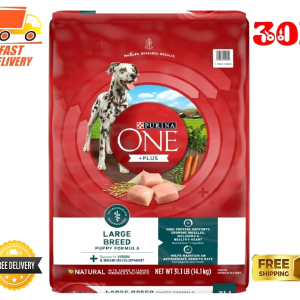 Purina ONE Natural, High Protein, Large Breed Dry Puppy Food, 31.1 lb