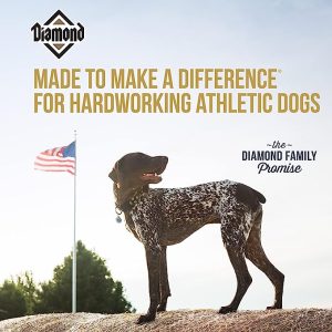 Diamond Performance Formula Adult Dry Dog Food, 40-lb bag