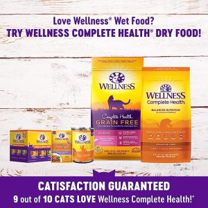 Wellness Complete Health Turkey & Salmon Grain-Free Canned Cat Food,24×5.5oz