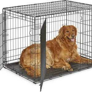 MidWest iCrate Fold & Carry Double Door Collapsible Wire Dog Crate, 42x28x30in