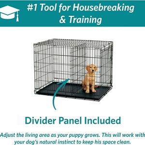 MidWest iCrate Fold & Carry Double Door Collapsible Wire Dog Crate, 42x28x30in