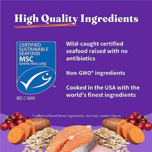 Halo Adult Holistic Wild Salmon & Whitefish Recipe Dry Cat Food, 10lb